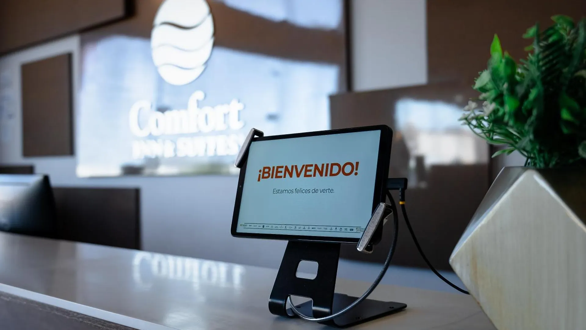 Hotel Comfort Inn & Suites Los Cabos Cabo San Lucas