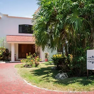 Bed & Breakfast Green Oasis Boutique Playa del Carmen